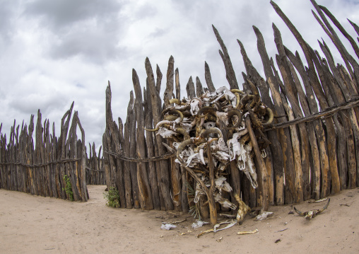 Cow Skulls Inside Of The Palace Of The Queen Of The Okwanyama, Omhedi, Namibia