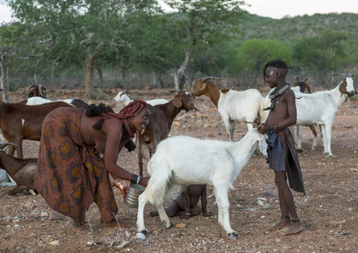 Himba Woman Milking Goats, Epupa, Namibia