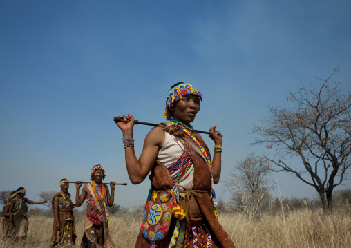 Group Of San Women Walking In The Bush, Namibia