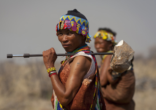 San Woman With A Tuber On A Stick, Namibia