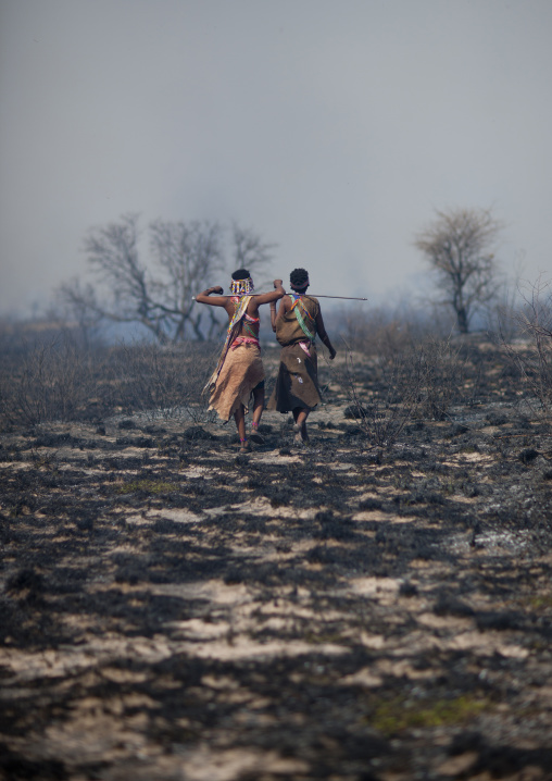 San Women Walking In The Bush After A Fire, Namibia