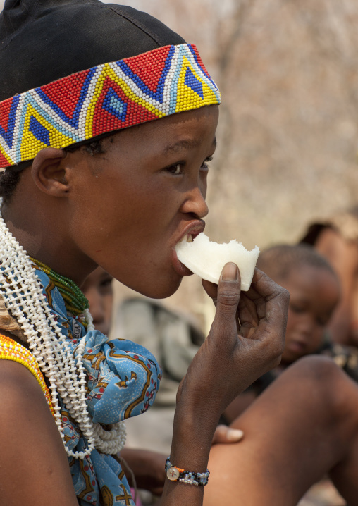 San Woman Eating Hottentot Bread In The Bush, Namibia