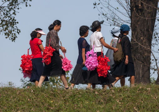 North Korean women going to the celebration of the 60th anniversary of the regim with plastic bunches of red flowers, Pyongan Province, Pyongyang, North Korea