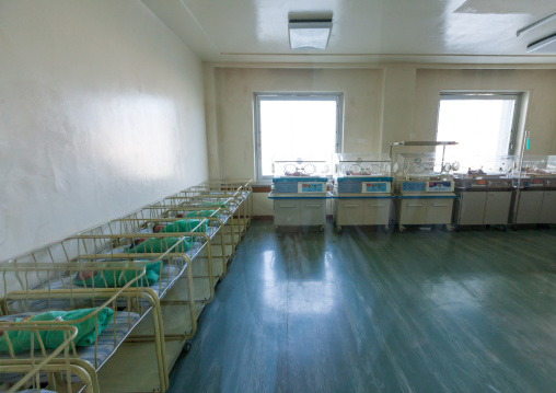 Newborn babies in a maternity, Pyongan Province, Pyongyang, North Korea