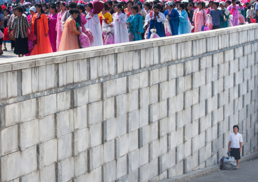 North Korean people going to the celebration of the 60th anniversary of the regim with plastic bunches of red flowers, Pyongan Province, Pyongyang, North Korea