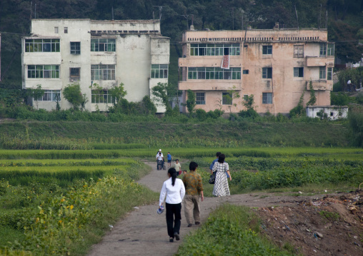 Noth Korean people walking on a path in the countryside, Kangwon Province, Chonsam Cooperative Farm, North Korea