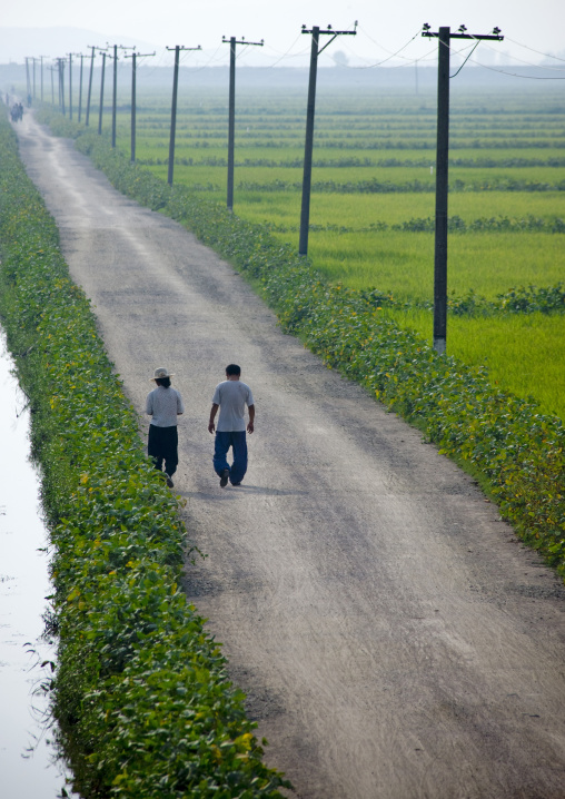 North Korean people riding bicycles in the countryside, Kangwon Province, Chonsam Cooperative Farm, North Korea