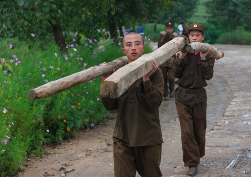 Young North Korean soldiers carrying wood in the countryside, North Hwanghae Province, Kaesong, North Korea