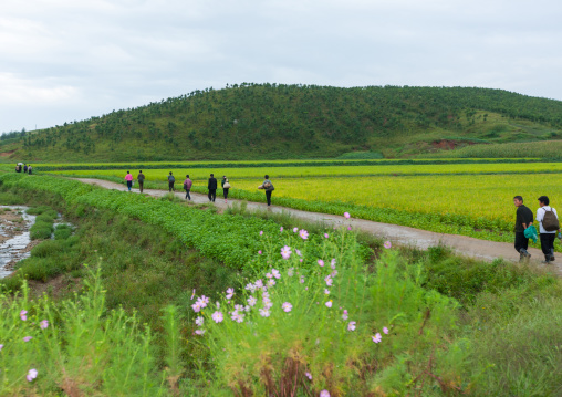 North Korean walking on a rural road in the countryside, North Hwanghae Province, Kaesong, North Korea