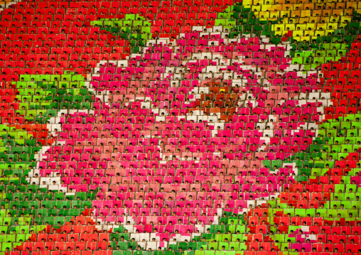 Flowers made by children pixels holding up colored boards during Arirang mass games in may day stadium, Pyongan Province, Pyongyang, North Korea