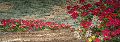 Flowers made by children pixels holding up colored boards during Arirang mass games in may day stadium, Pyongan Province, Pyongyang, North Korea