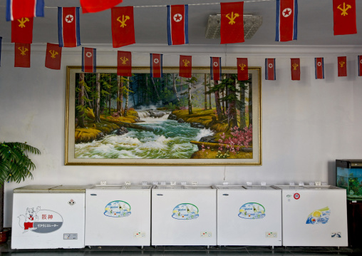 North Korean and workers' Party of North Korea flags decoration for september 9 in a shop above freezers, Pyongan Province, Pyongyang, North Korea