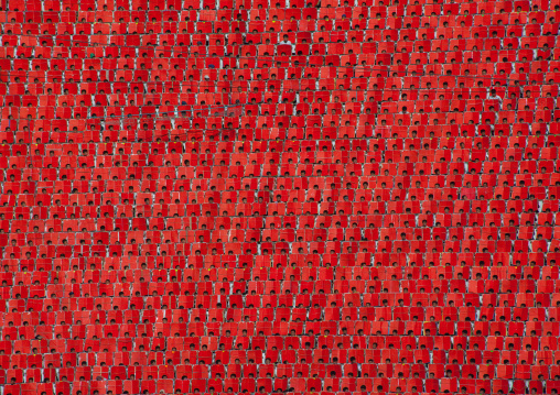 Children pixels holding up colored boards during Arirang mass games in may day stadium, Pyongan Province, Pyongyang, North Korea