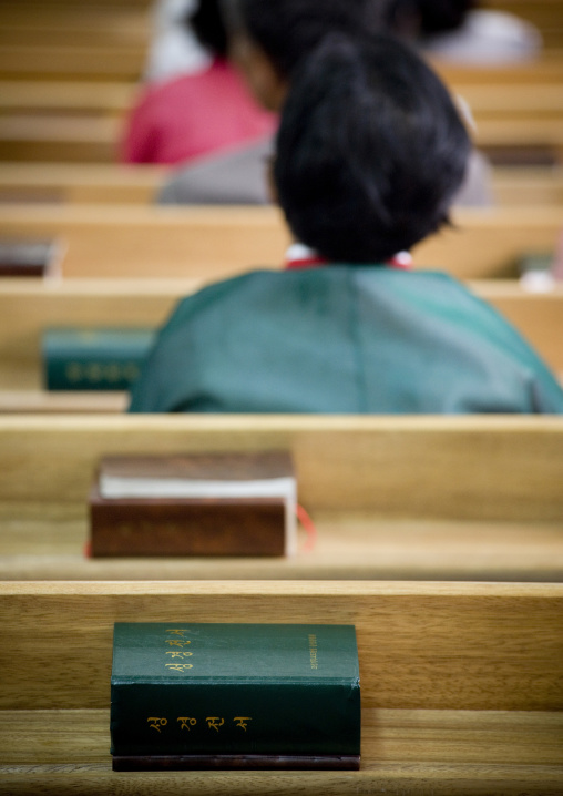 North Korean worshiper reading the bible during a sunday mass in protestant Bongsu church, Pyongan Province, Pyongyang, North Korea