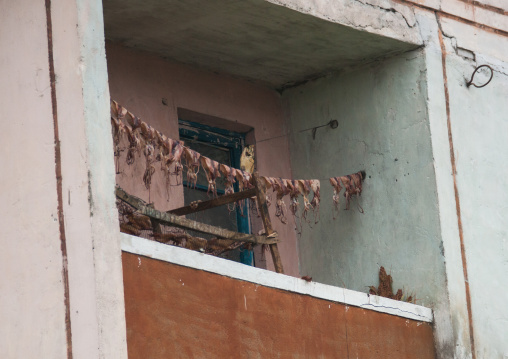 Cuttlefish drying on the balcony of a fisherman house, North Hamgyong Province, Jung Pyong Ri, North Korea