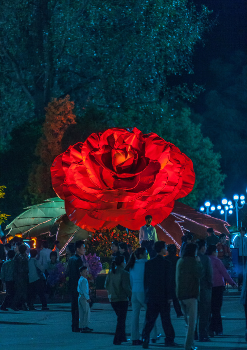 Giant Kimilsungia flower during the Arirang mass games in may day stadium, Pyongan Province, Pyongyang, North Korea
