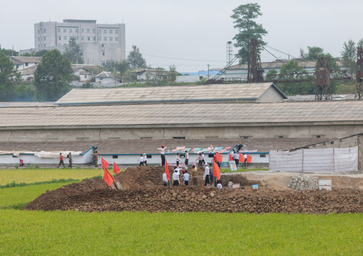 North Korean people working in a field, Pyongan Province, Pyongyang, North Korea