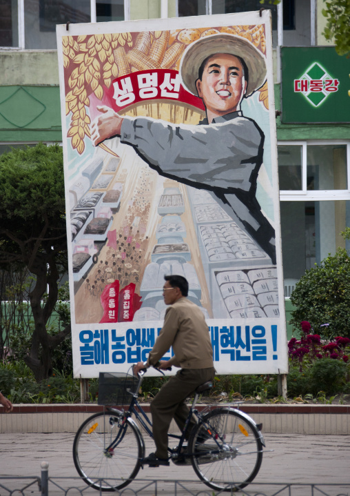 North Korean man riding a bicycle in front of a propaganda billboard depicting a happy peasant, North Hwanghae Province, Kaesong, North Korea