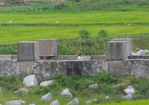 North Korean woman passing in the middle of anti tank invasion concrete blocks, North Hwanghae Province, Panmunjom, North Korea