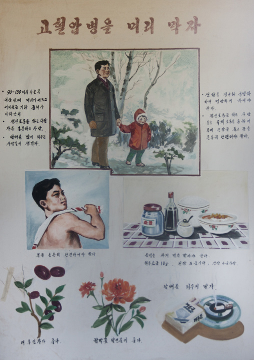 Health advice and information poster in a village, South Pyongan Province, Chongsan-ri Cooperative Farm, North Korea