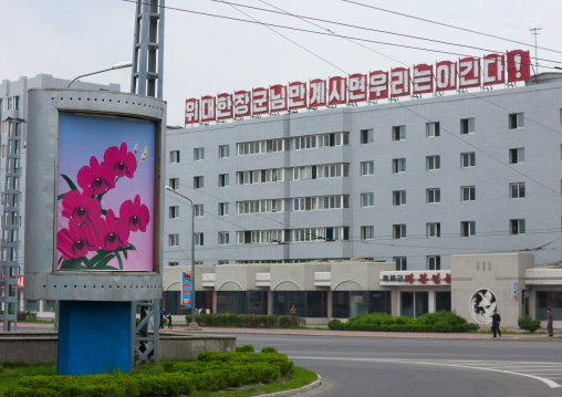North Korean propaganda billboard with Kimilsungia flower, Pyongan Province, Pyongyang, North Korea