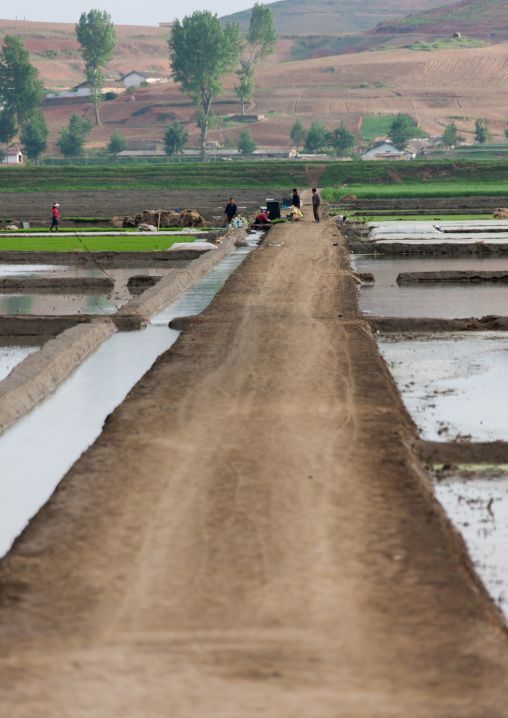 North Korean people working in salt evaporation ponds, South Pyongan Province, Nampo, North Korea
