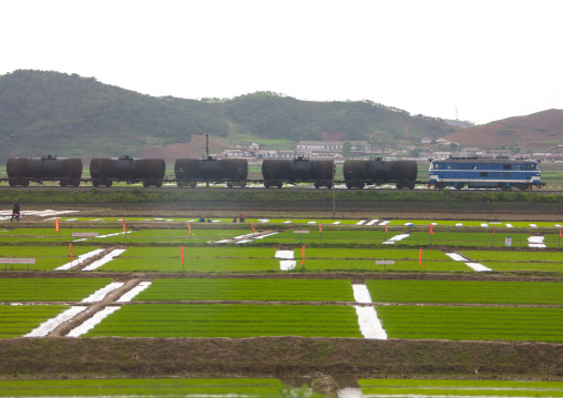 Gasoline train passing in front of a paddy field, Pyongan Province, Myohyang-san, North Korea