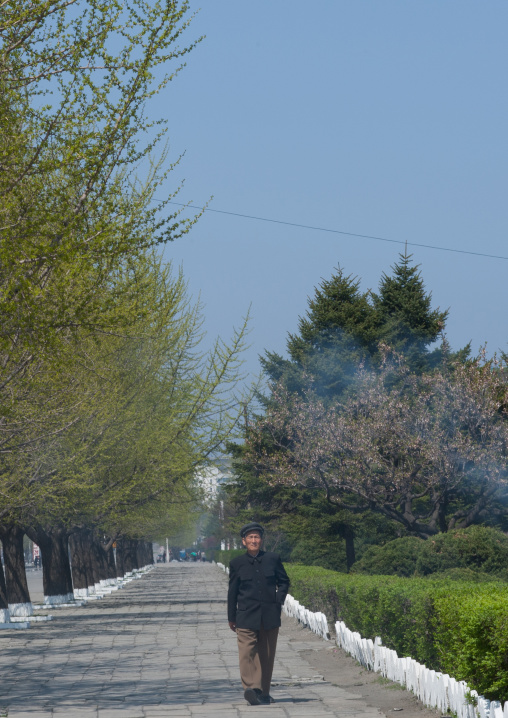 North Korean man walking in a park, Kangwon Province, Wonsan, North Korea