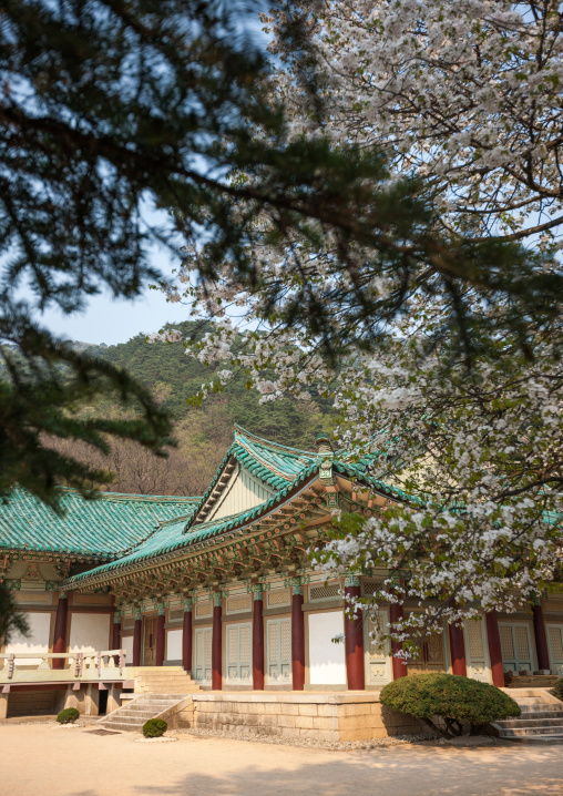 Pohyon-sa Korean buddhist temple, Hyangsan county, Mount Myohyang, North Korea