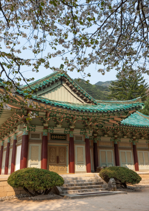 Pohyon-sa Korean buddhist temple, Hyangsan county, Mount Myohyang, North Korea