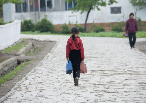 Rear view of a North Korean girl carrying water on a road, South Pyongan Province, Chongsan-ri Cooperative Farm, North Korea