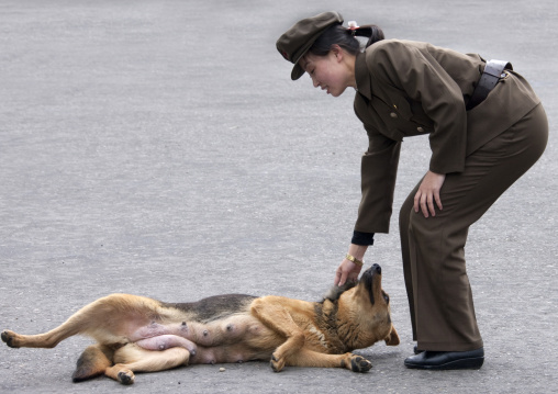 North Korean soldier woman playing with a dog, Pyongan Province, Pyongyang, North Korea