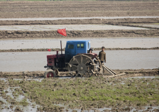 North Korean child near an old tractor in a field, Pyongan Province, Pyongyang, North Korea