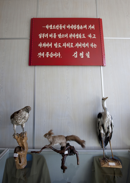 Stuffed birds in Songdowon international children's camp below a Kim Jong-il saying that it is good for children to experiment camping life, Kangwon Province, Wonsan, North Korea