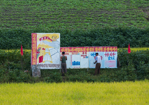 Men painting a propaganda billboard in a rice field, South Hamgyong Province, Hamhung, North Korea