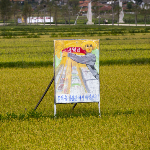 Propaganda billboard in a rice field depicting a farmer, South Hamgyong Province, Hamhung, North Korea