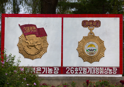 School honorary award, South Hamgyong Province, Hamhung, North Korea