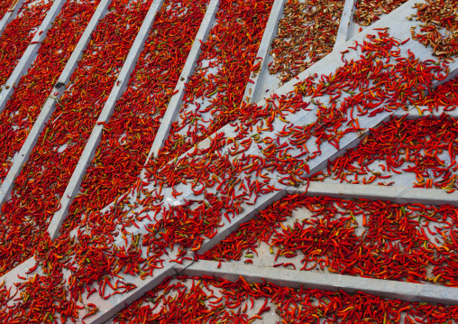 Kimchi spice drying in the street, North Hwanghae Province, Kaesong, North Korea