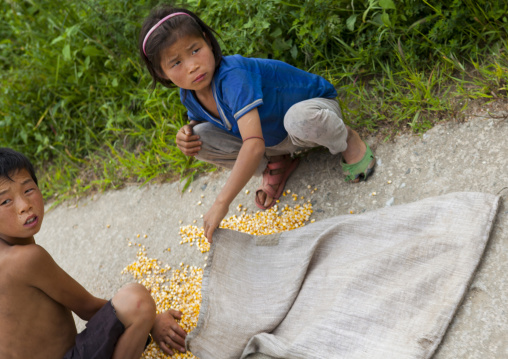 North Korean children collecting fallen corn on the road in the countryside, North Hwanghae Province, Kaesong, North Korea