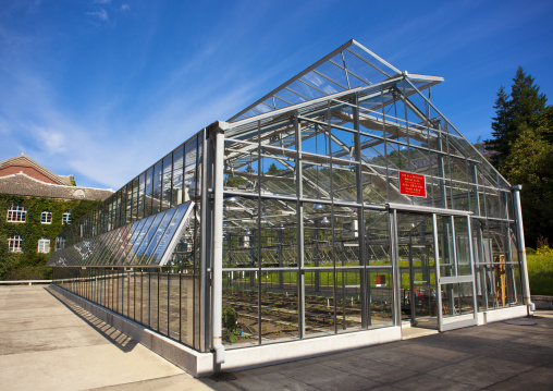 Greenhouse in agriculture university, South Hamgyong Province, Hamhung, North Korea
