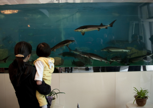 North Korean mother showing sturgeons to her daughter in a luxury restaurant, Pyongan Province, Pyongyang, North Korea