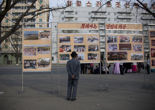 Old North Korean man looking propaganda pictures in the street, Pyongan Province, Pyongyang, North Korea