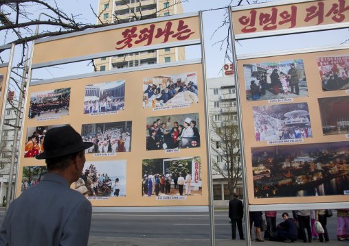 Old North Korean man looking propaganda pictures in the street, Pyongan Province, Pyongyang, North Korea