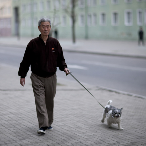 North Korean man taking his dog out, Pyongan Province, Pyongyang, North Korea