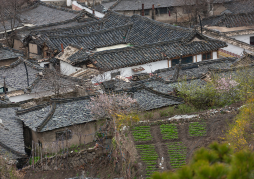 High angle view of the Korean houses in the old town, North Hwanghae Province, Kaesong, North Korea