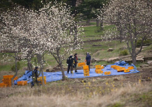 Manwoldae royal palace excavations, North Hwanghae Province, Kaesong, North Korea