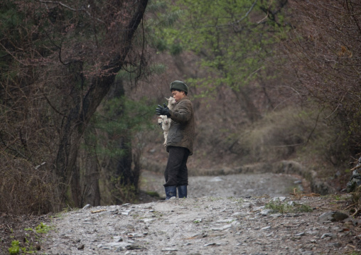North Korean boy taking care of two lambs in the countryside, North Hwanghae Province, Kaesong, North Korea