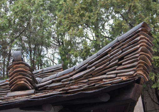 Traditional roof and tiles, Pyongan Province, Pyongyang, North Korea