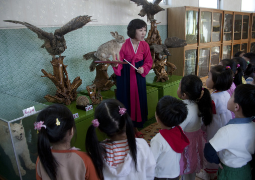 Children during a lesson with stuffed birds at Kwangbok primary school, Pyongan Province, Pyongyang, North Korea