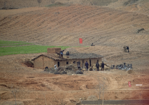 North horean men making a straw roof in the countryside, Pyongan Province, Pyongyang, North Korea